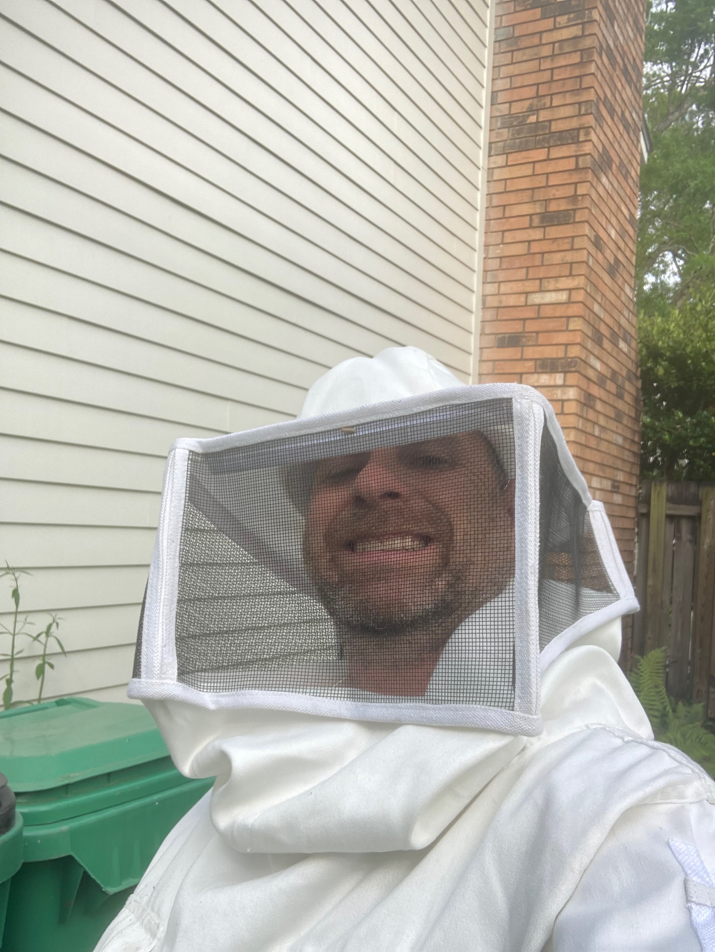 My beehive from last year